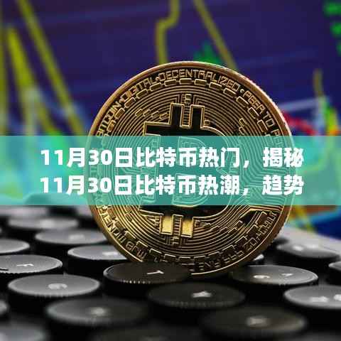 揭秘比特币热潮,趋势、影响与未来展望(11月30日热点分析)