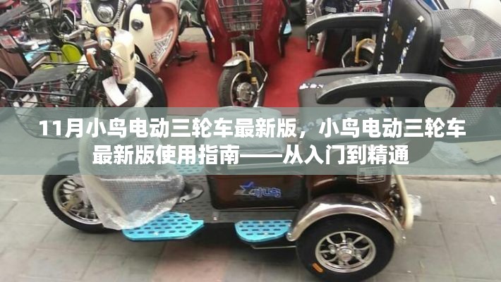小鸟电动三轮车最新版详解,从入门到精通的使用指南