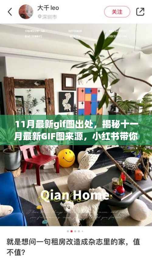 揭秘十一月最新GIF图来源,小红书带你玩转潮流前线