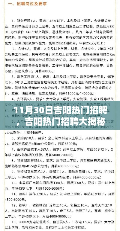 11月30日吉阳热门招聘盛宴,揭秘就业黄金时机!