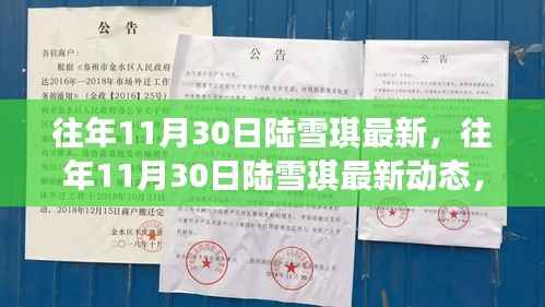 揭秘陆雪琪的成长与变迁,往年11月30日的最新动态回顾