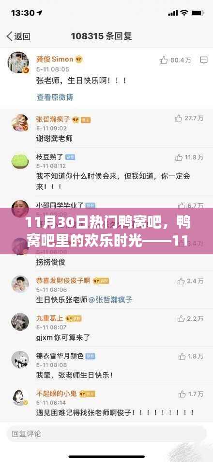 11月30日鸭窝吧欢乐时光,温馨日常的盛宴