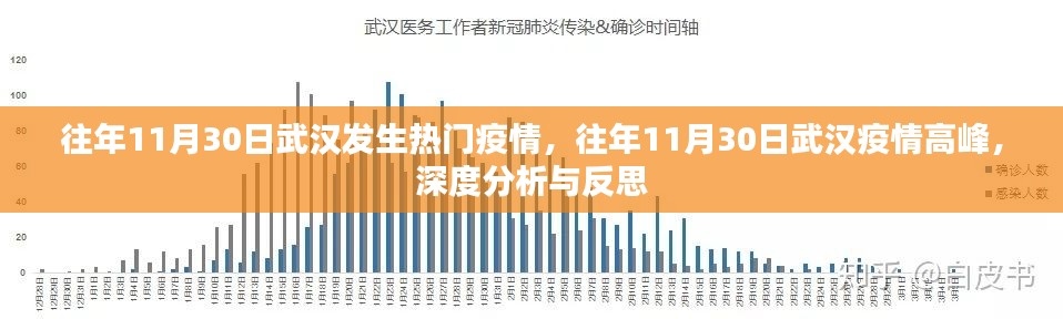 武汉疫情高峰回顾与深度分析与反思,历年11月30日的疫情观察与反思