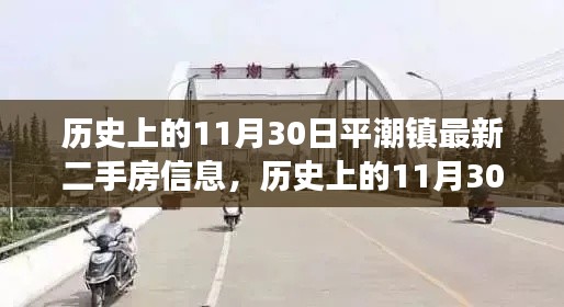 历史上的11月30日平潮镇二手房市场深度解析及最新信息概览,深度解读市场趋势与最新房源信息。