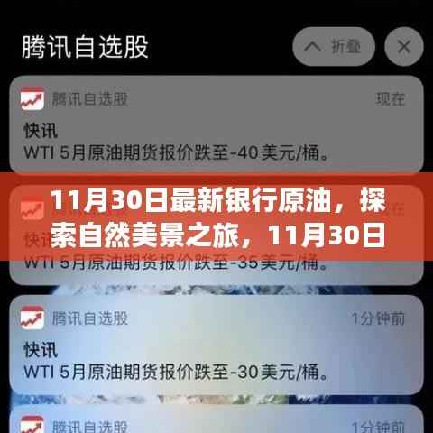 银行原油与自然美景的奇妙邂逅之旅,11月30日探索之旅