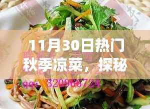 探秘美食秘境,秋季凉菜盛宴,小巷深处的宝藏店