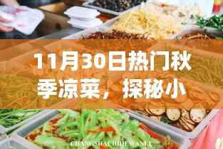 探秘美食秘境,秋季凉菜盛宴,小巷深处的宝藏店
