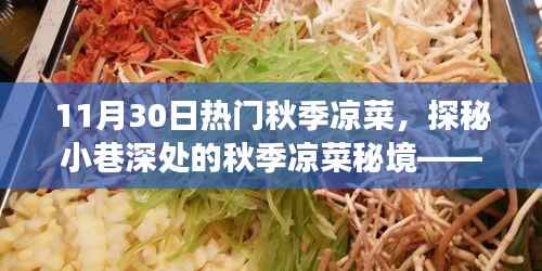 探秘美食秘境,秋季凉菜盛宴,小巷深处的宝藏店