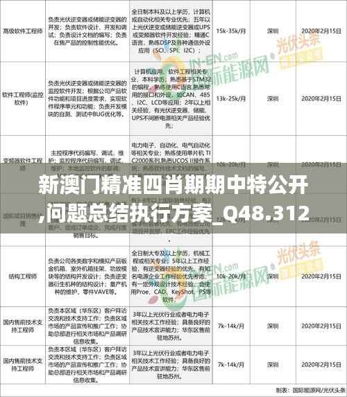 新澳门精准四肖期期中特公开,问题总结执行方案_Q48.312-6
