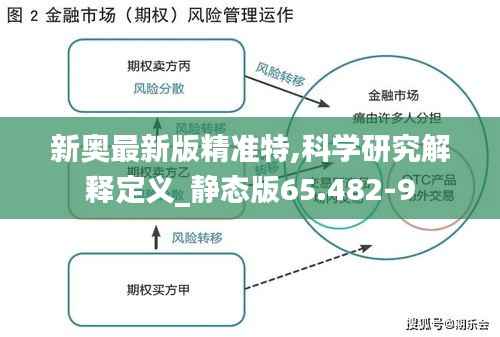 新奥最新版精准特,科学研究解释定义_静态版65.482-9
