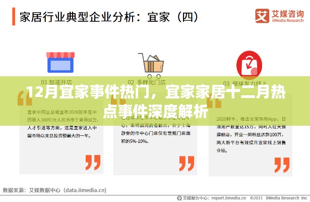 宜家十二月热点事件深度解析,宜家家居的热门事件回顾