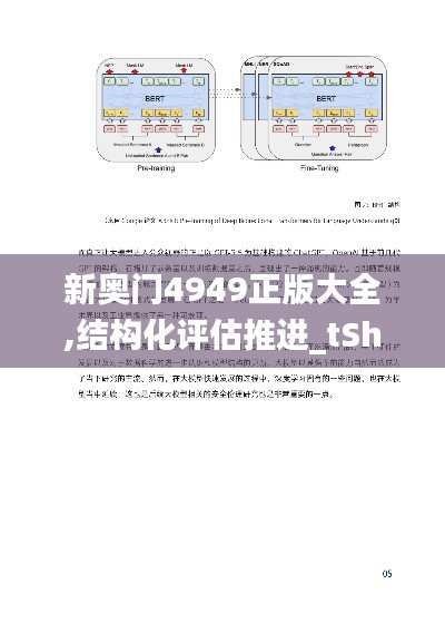 新奥门4949正版大全,结构化评估推进_tShop23.550-6