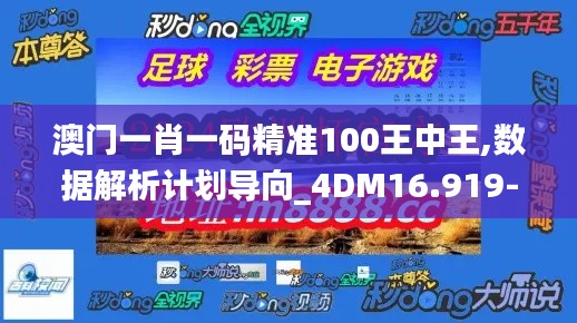 澳门一肖一码精准100王中王,数据解析计划导向_4DM16.919-3