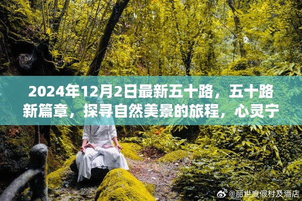 探寻自然美景之旅,五十路新篇章的心灵宁静之旅(2024年12月2日最新五十路)