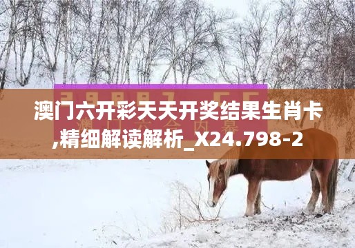 澳门六开彩天天开奖结果生肖卡,精细解读解析_X24.798-2