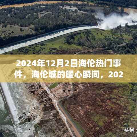 海伦城暖心瞬间与奇遇记,2024年12月2日热门事件回顾