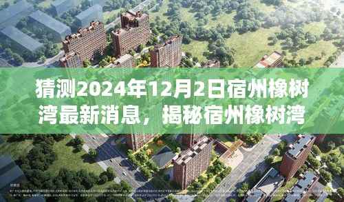 揭秘宿州橡树湾最新动态,2024年预测分析与全面评测(最新消息)