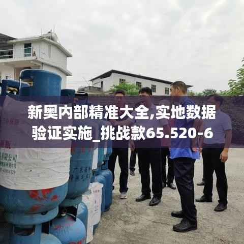 新奥内部精准大全,实地数据验证实施_挑战款65.520-6