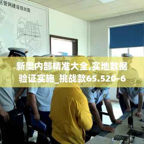新奥内部精准大全,实地数据验证实施_挑战款65.520-6