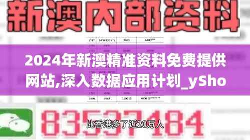2024年新澳精准资料免费提供网站,深入数据应用计划_yShop38.494-1