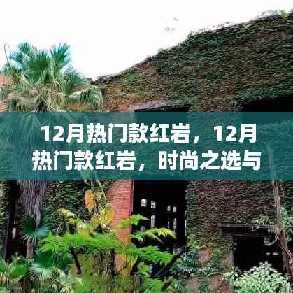 时尚之选与独特魅力的交汇点,红岩车型十二月热门推荐