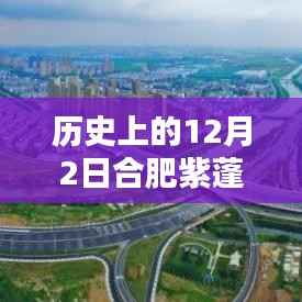 深入了解与探索,历史上的合肥紫蓬镇热门规划图揭秘