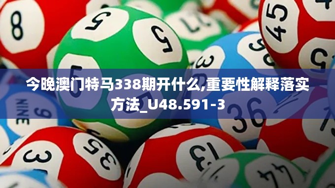 今晚澳门特马338期开什么,重要性解释落实方法_U48.591-3