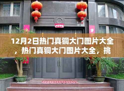 12月2日最新热门真铜大门图片汇总,挑选、安装一站式指南