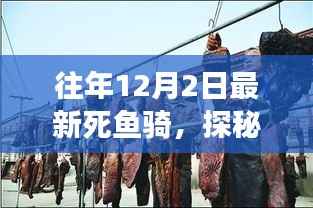 往年12月2日最新死鱼骑,探秘小巷美食,品味隐藏风味店