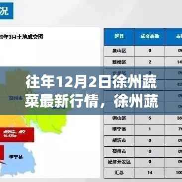徐州蔬菜行情背后的暖心故事,日常温情回顾——12月2日最新行情