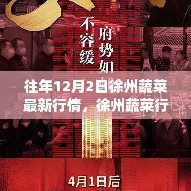 徐州蔬菜行情背后的暖心故事,日常温情回顾——12月2日最新行情
