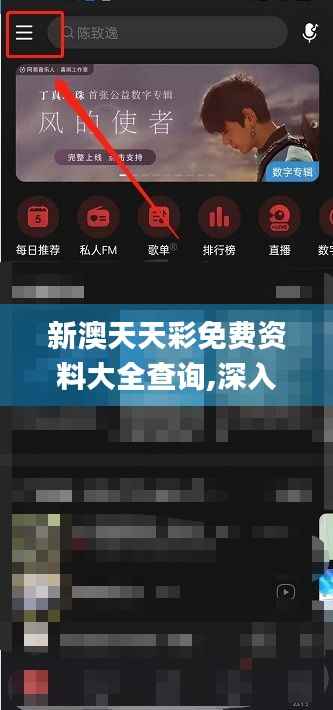 新澳天天彩免费资料大全查询,深入解析数据策略_T20.666-5