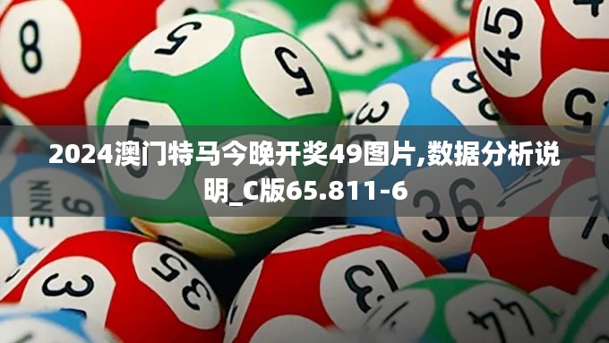 2024澳门特马今晚开奖49图片,数据分析说明_C版65.811-6