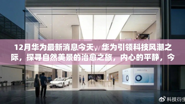 华为引领科技风潮,探寻自然美景之旅,今日启程治愈心灵之旅