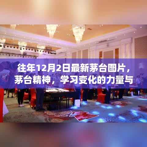 往年12月2日茅台最新动态,精神传承与自信成就之舞