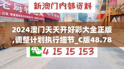 2024澳门天天开好彩大全正版,调整计划执行细节_C版48.784-9