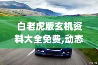 白老虎版玄机资料大全免费,动态解释词汇_XE版71.245-1