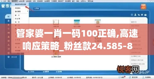 管家婆一肖一码100正确,高速响应策略_粉丝款24.585-8
