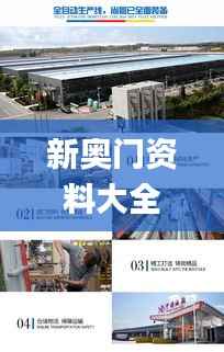 新奥门资料大全免费澳门软件特色,优选方案解析说明_顶级款23.776-8