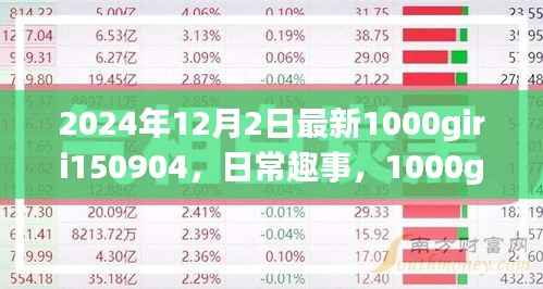 日常趣事分享,温馨的一天时光记录