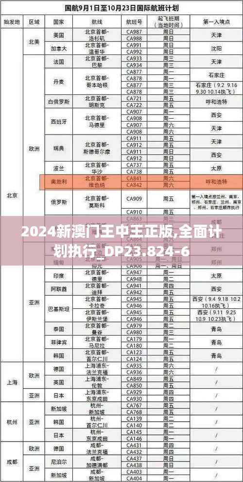 2024新澳门王中王正版,全面计划执行_DP23.824-6
