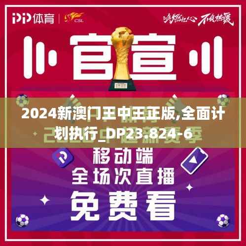 2024新澳门王中王正版,全面计划执行_DP23.824-6