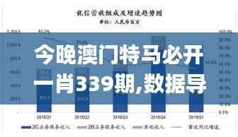 今晚澳门特马必开一肖339期,数据导向方案设计_XR2.931-4