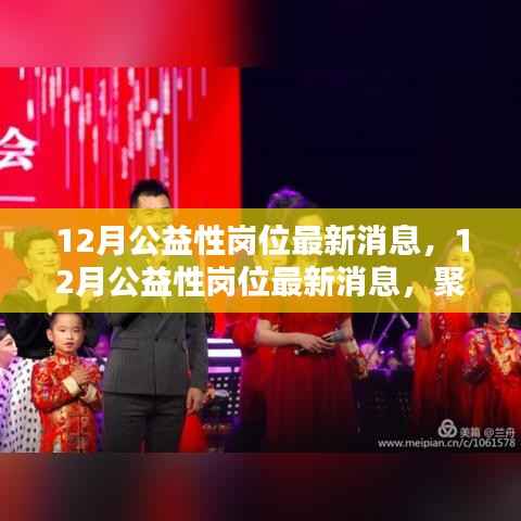 聚焦要点,12月公益性岗位最新消息,共筑和谐社会之光