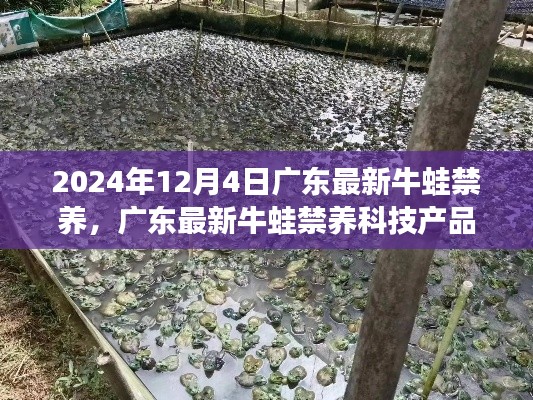广东牛蛙禁养政策实施,科技产品引领未来生活变革