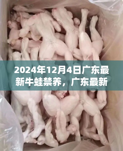 广东牛蛙禁养政策实施,科技产品引领未来生活变革