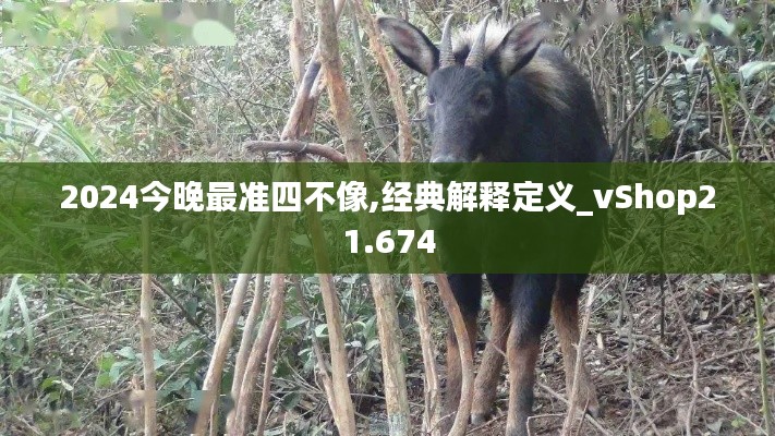 2024今晚最准四不像,经典解释定义_vShop21.674