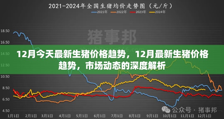 深度解析,最新市场动态下的12月生猪价格趋势解析