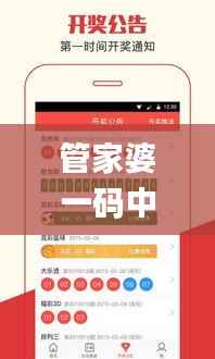 管家婆一码中一肖,适用性计划实施_Galaxy31.609