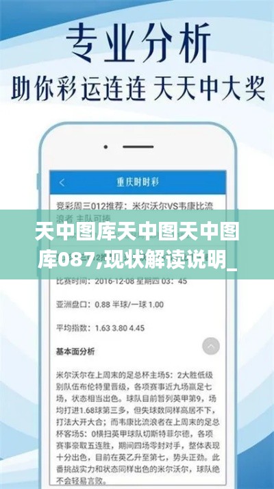天中图库天中图天中图库087,现状解读说明_Essential73.464